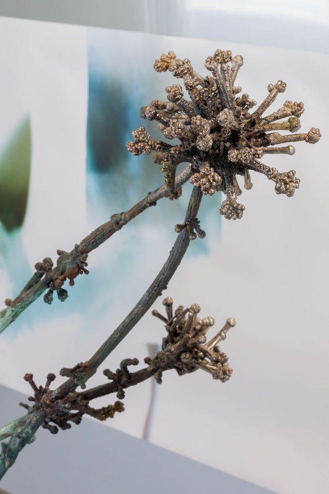 Installation view of the exhibition / Skills Academy “Metal Learning –Summer Class” 2026｜スキル・アカデミー「金属に学ぶ、五感で考える：夏のオープンクラス」展示風景（2026年）　© Nacása & Partners Inc./ Courtesy of Fondation d'entreprise Hermès　Courtesy of carlier | gebauer