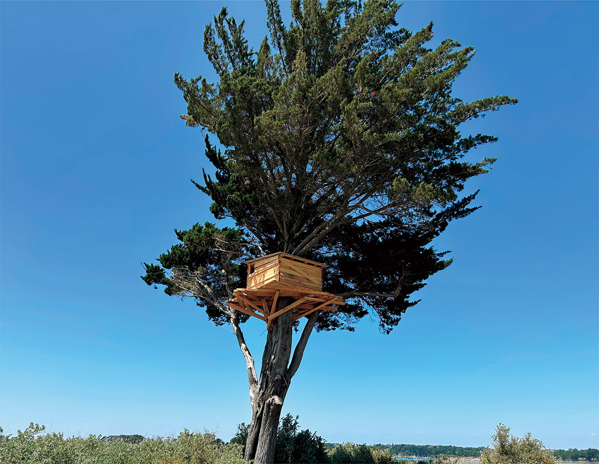 制作プロセスそのものを作品とする「ワークインプログレス」で知られる作家、川俣正。《Tree Hut Project》は街路樹に木材で作った小屋を設置するプロジェクト。前橋でも市民参加型プロジェクトを含む計3基が設置される。川俣正 《Tree Hut Project》