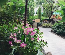 至る所に花が。この奥はプール。
