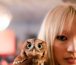 Fernanda Ly