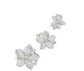 GRASSE JASMINE