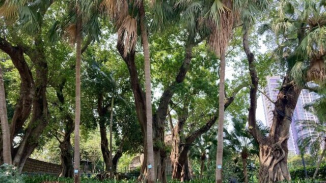 のどかなカーザ庭園